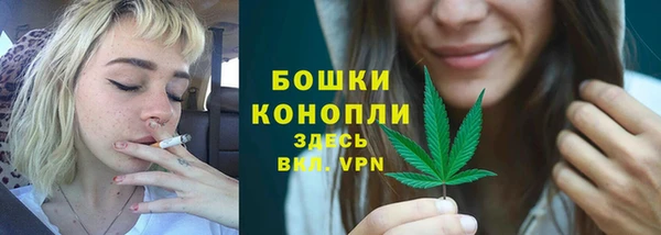 PSILOCYBIN Рославль