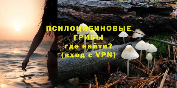 PSILOCYBIN Рославль
