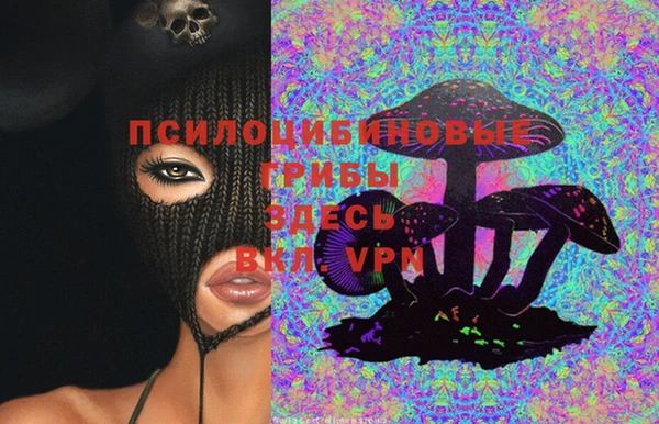 PSILOCYBIN Рославль
