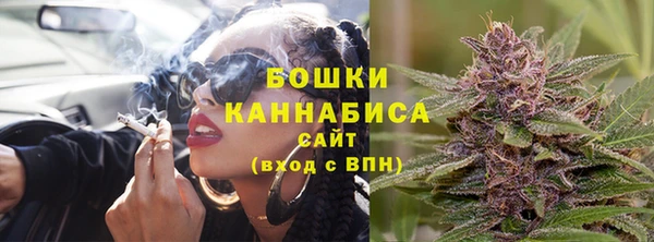 PSILOCYBIN Рославль