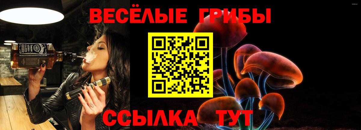 Галлюциногенные грибы Magic Shrooms  где продают наркотики  Лесозаводск  Вход с VPN 